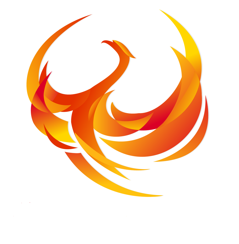 Soaring Phoenix Information Technology Limited logo